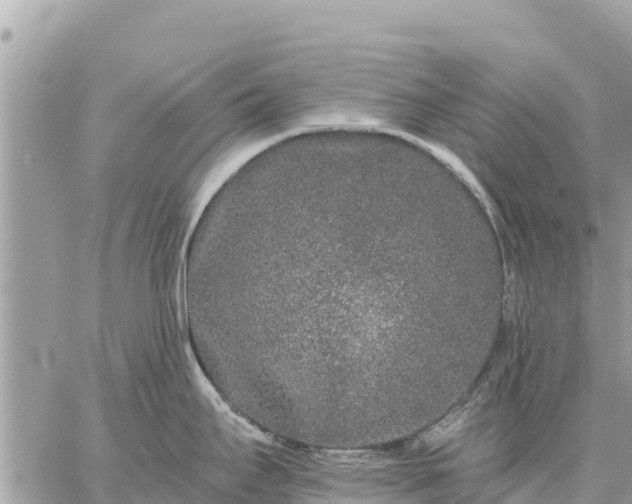 X0000059101295200510172110