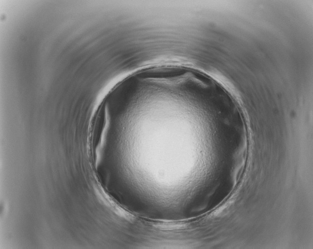 X0000059101296200510172110