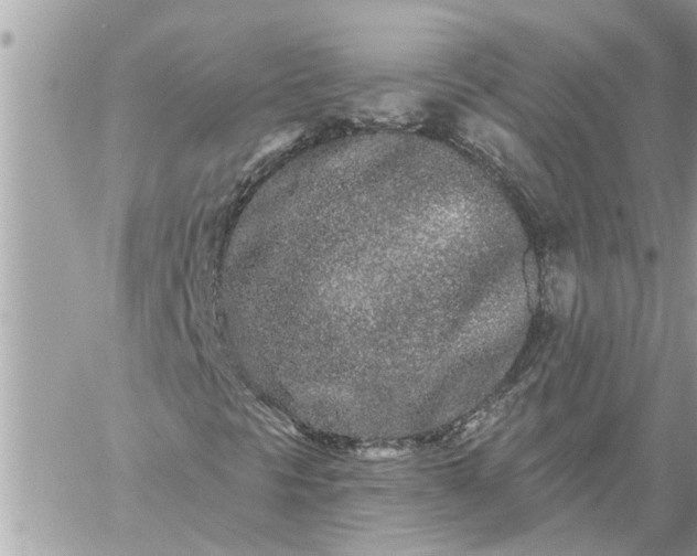 X0000059101297200510172109