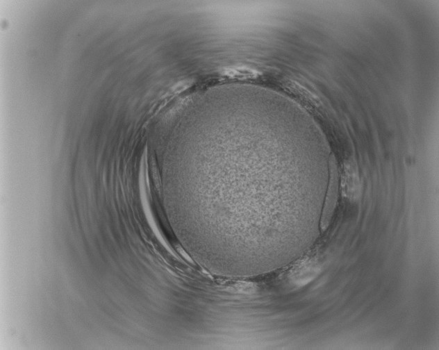 X0000059101298200510172109