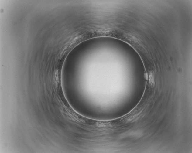 X0000059101299200510172109