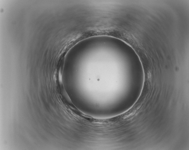 X0000059101300200510172109