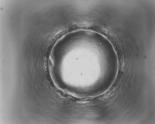 X0000059101301200510172109