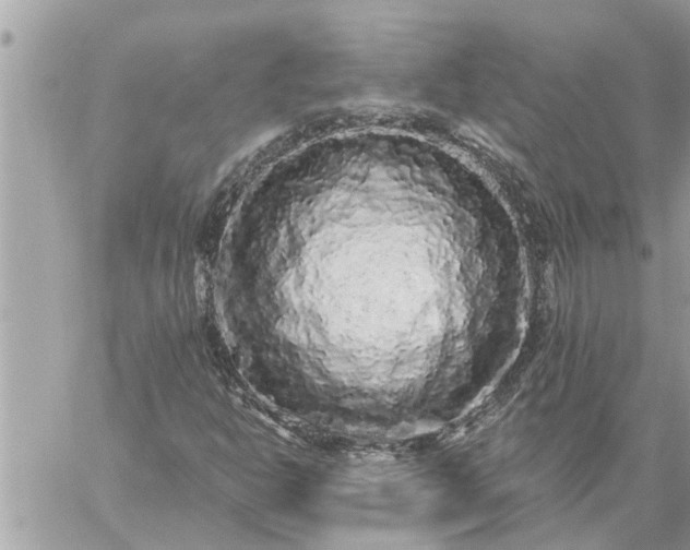 X0000059101302200510172110