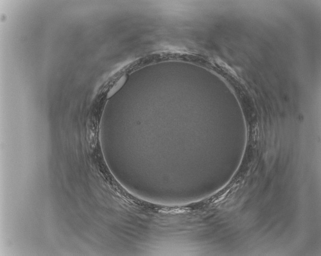 X0000059101303200510172110