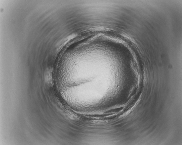 X0000059101305200510172110