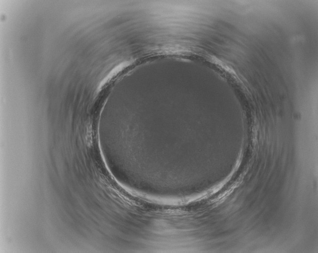 X0000059101306200510172110