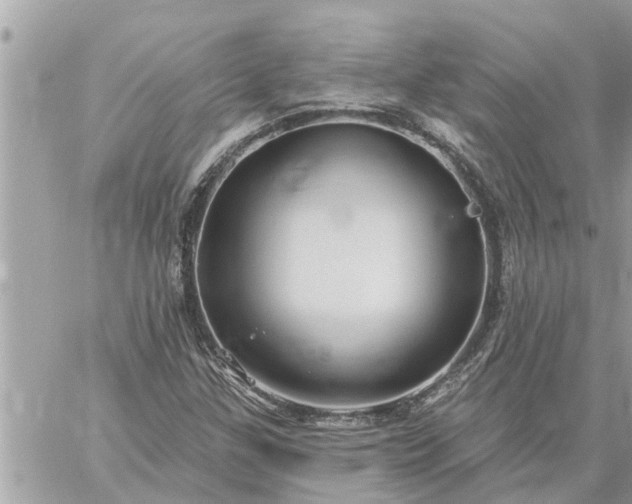 X0000059101307200510172110