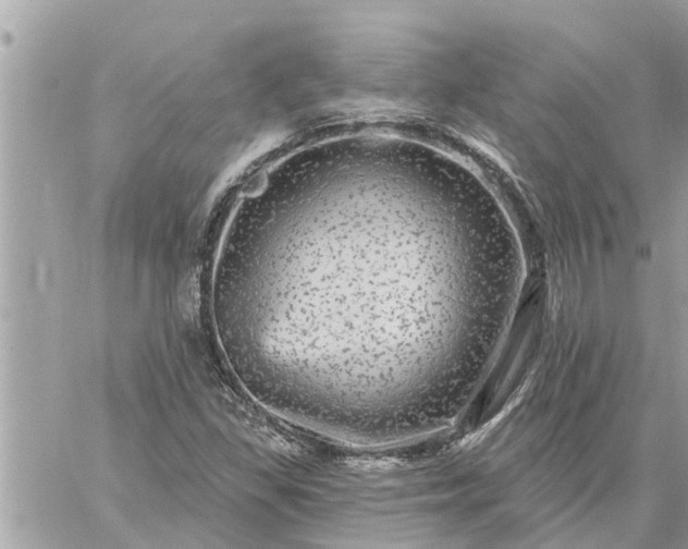 X0000059101309200510172110