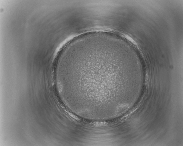 X0000059101310200510172110