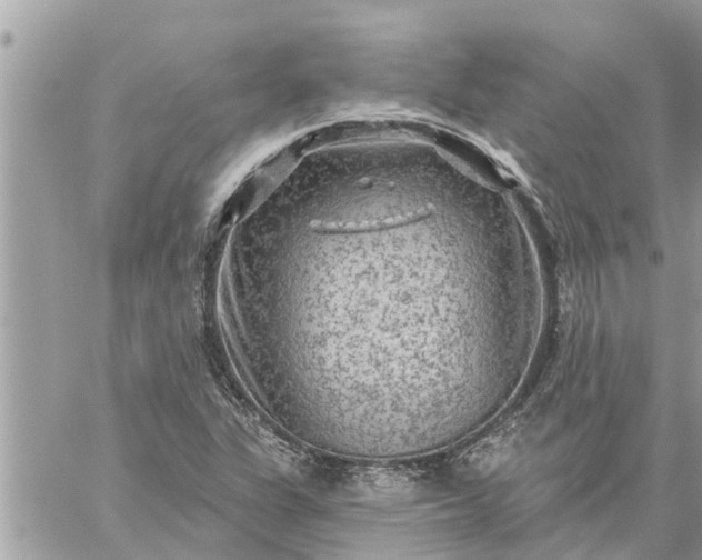 X0000059101311200510172110