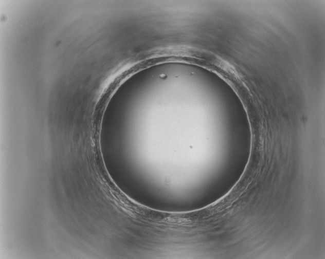 X0000059101312200510172110