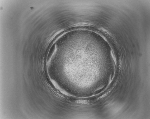 X0000059101313200510172110