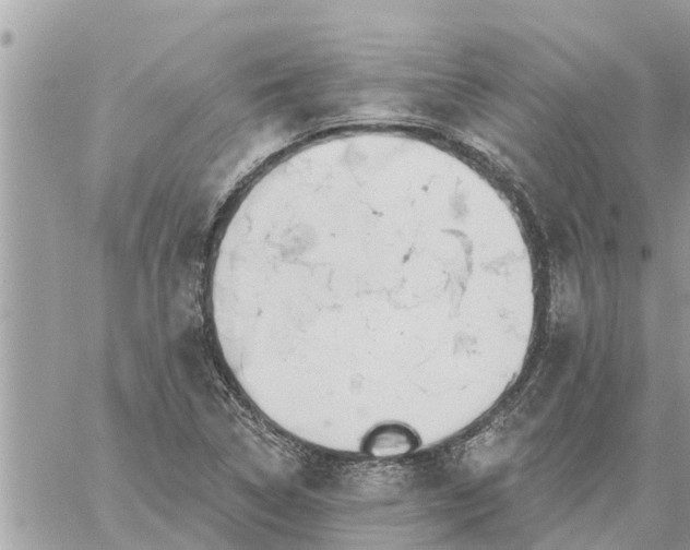 X0000059101314200510172110