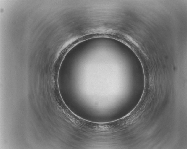 X0000059101315200510172110