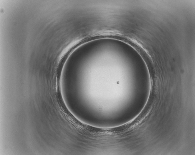 X0000059101317200510172110