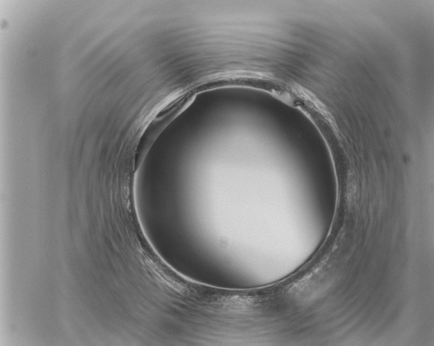 X0000059101321200510172110