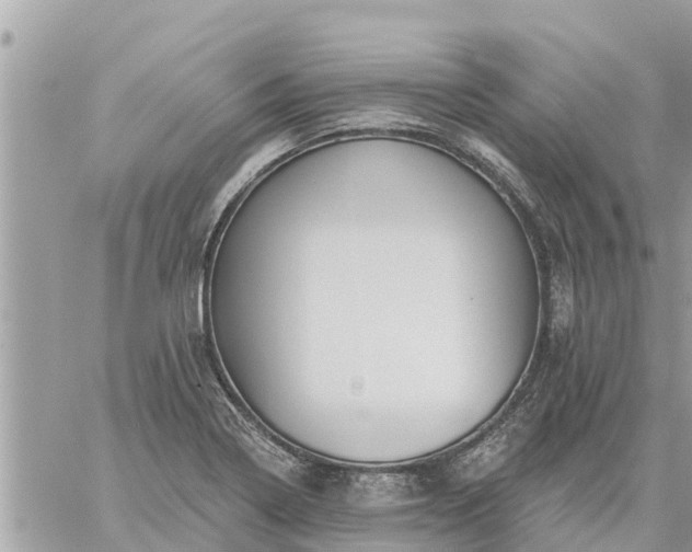 X0000059101322200510172110