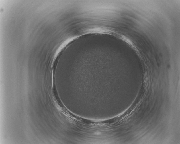 X0000059101323200510172110