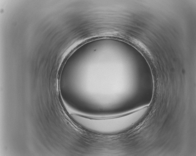 X0000059101324200510172110