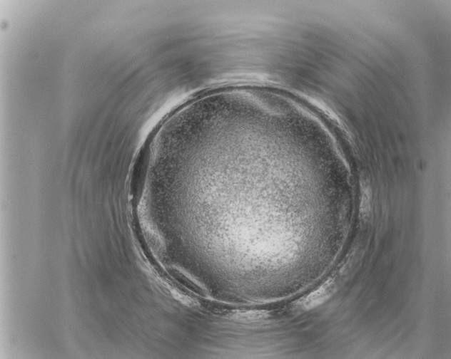 X0000059101325200510172110