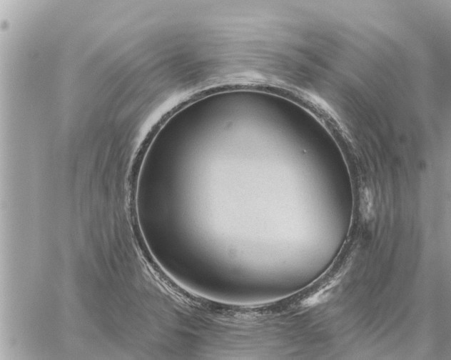 X0000059101326200510172110