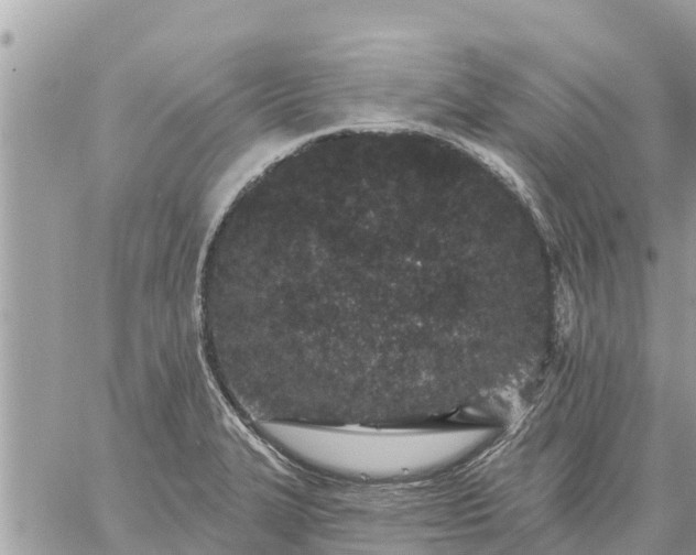 X0000059101327200510172110