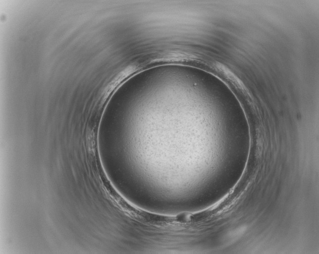 X0000059101329200510172110