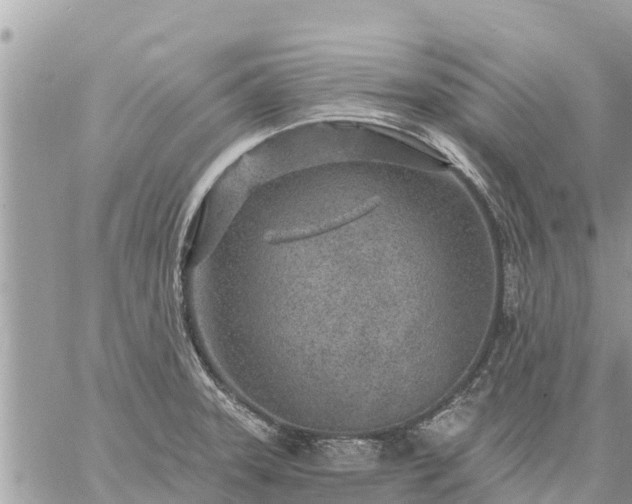 X0000059101331200510172110