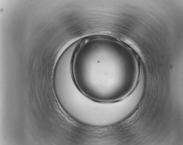 X0000059101332200510172110