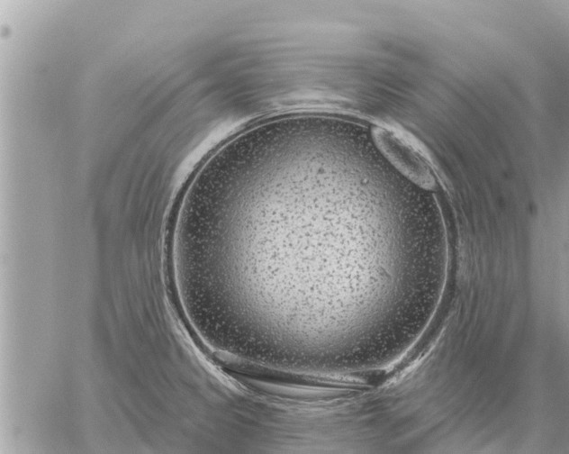 X0000059101333200510172110