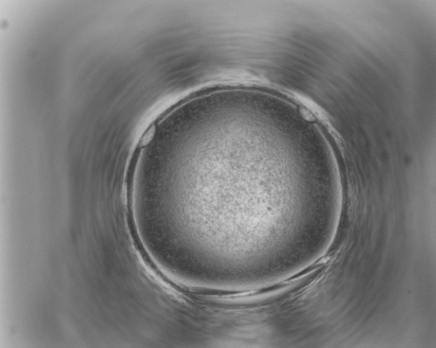 X0000059101335200510172110