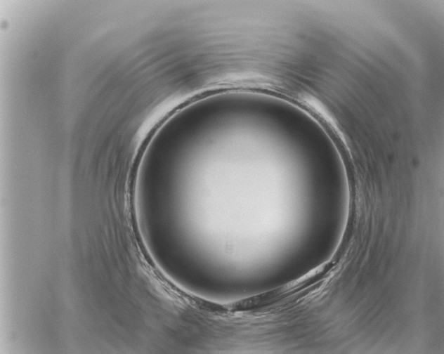 X0000059101336200510172110