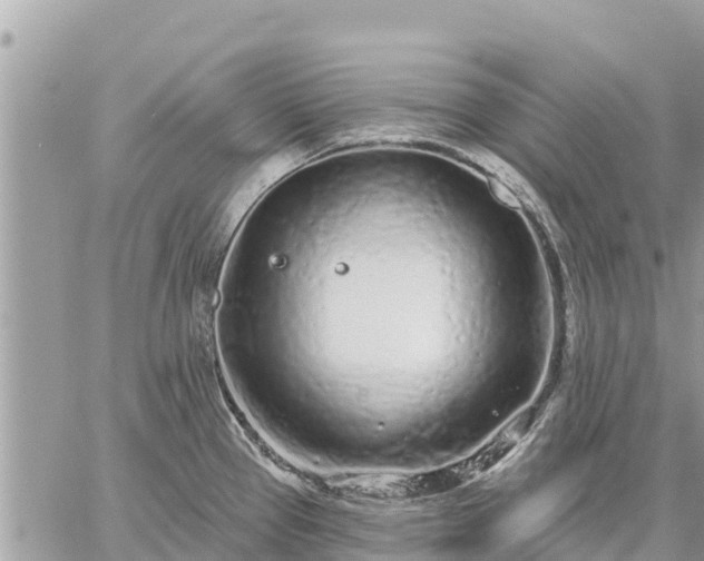 X0000059101337200510172110