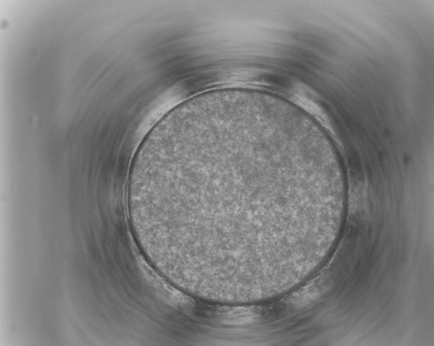 X0000059101338200510172110