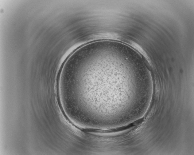 X0000059101339200510172110