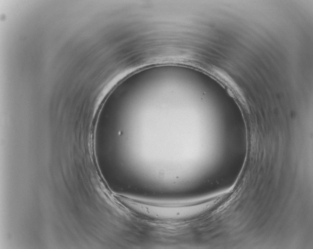 X0000059101340200510172110