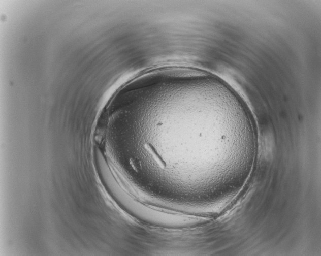 X0000059101341200510172110