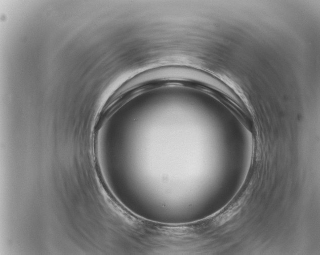 X0000059101342200510172110