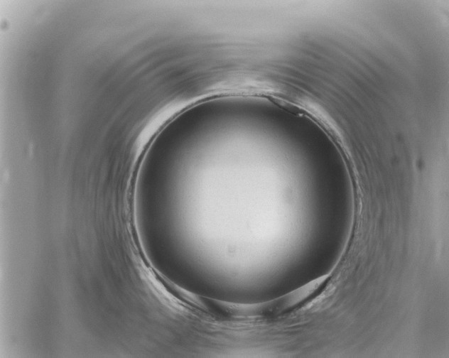 X0000059101344200510172110