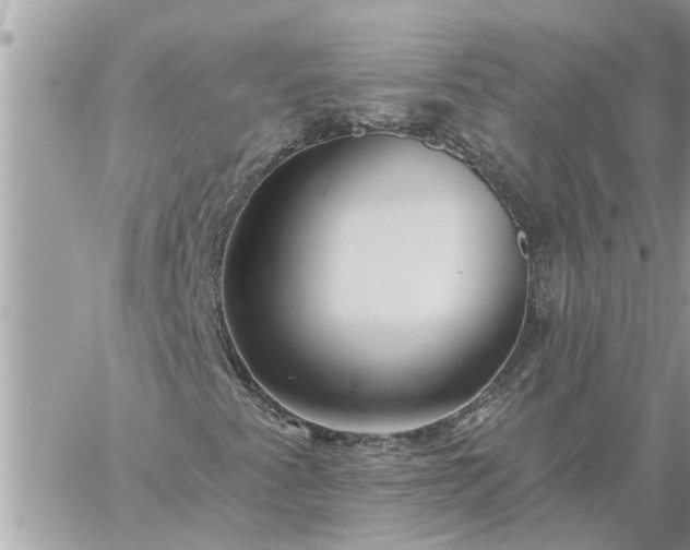 X0000059101345200510172109