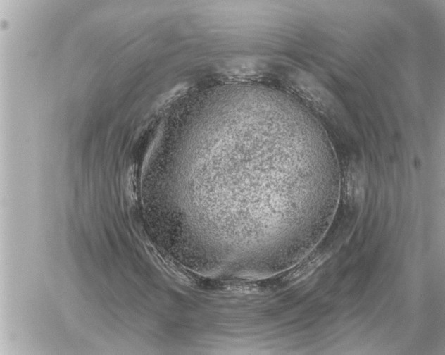 X0000059101346200510172109