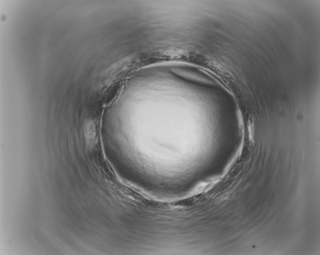 X0000059101347200510172109