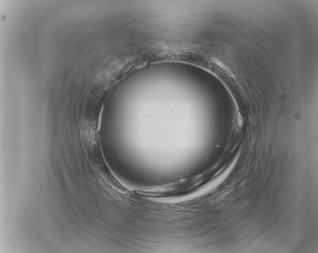 X0000059101348200510172109