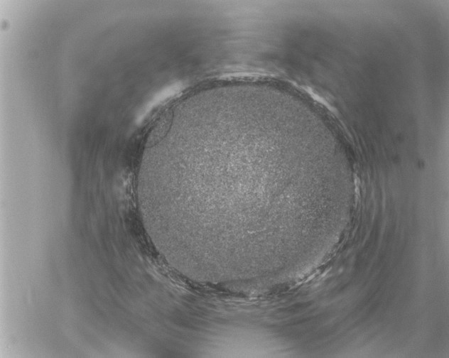 X0000059101351200510172109