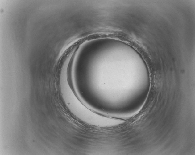 X0000059101352200510172109