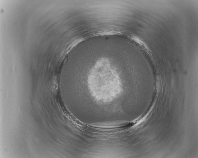 X0000059101353200510172109