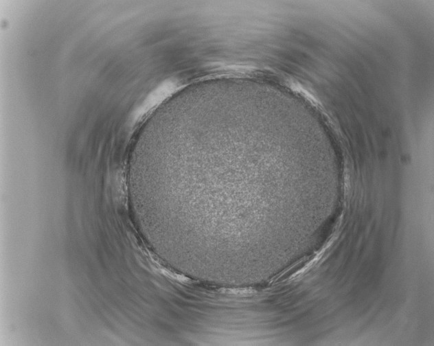 X0000059101354200510172109