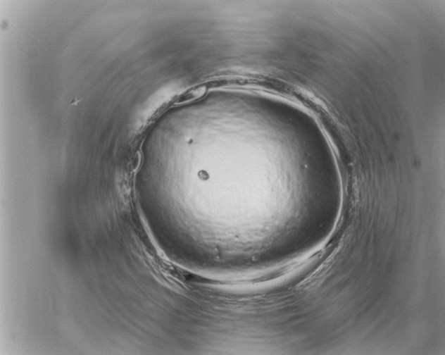 X0000059101355200510172109