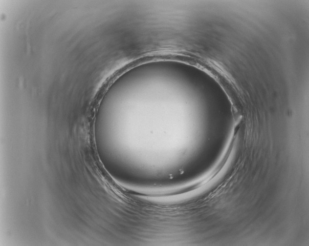 X0000059101356200510172109